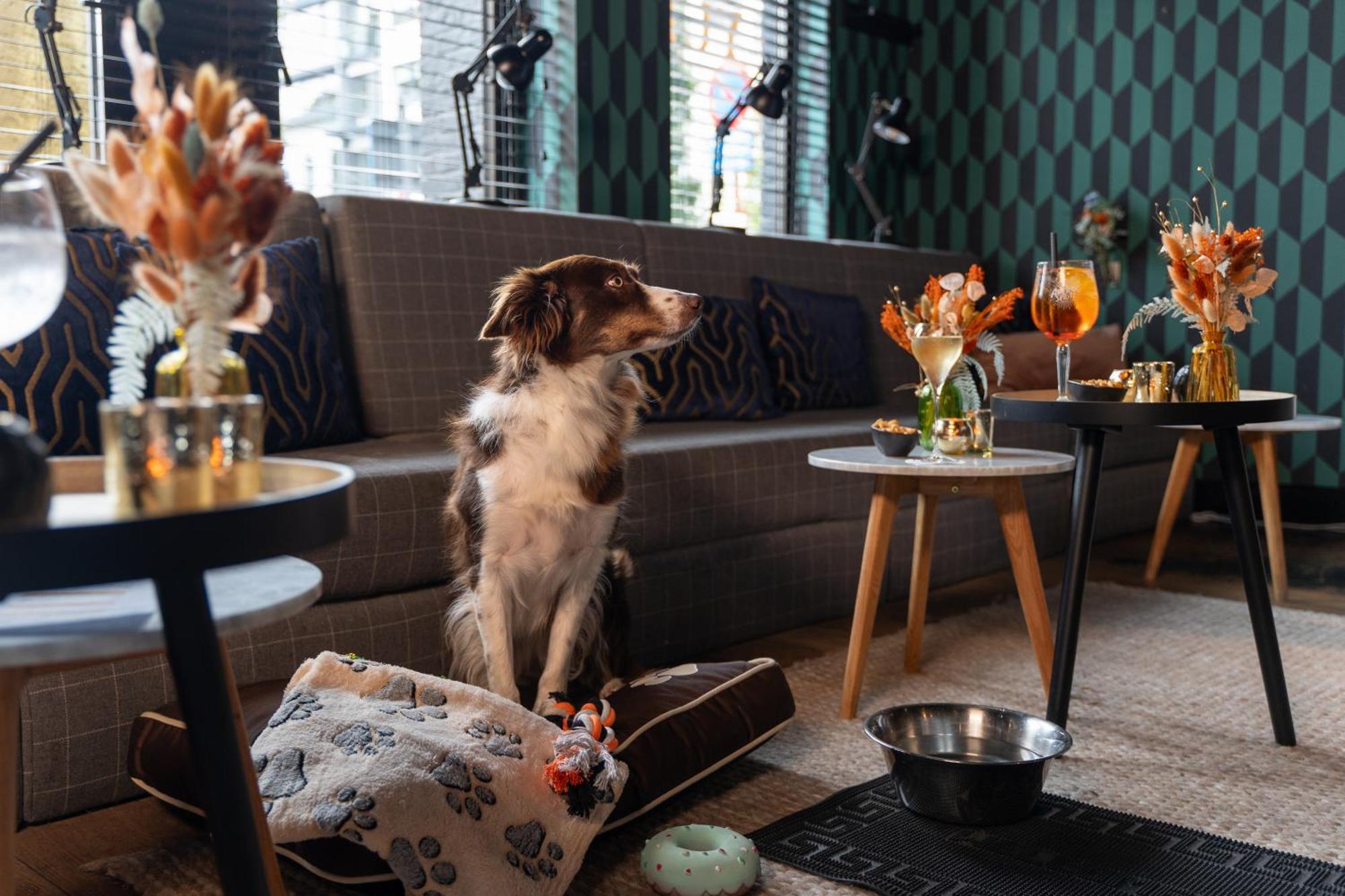 Ibis Styles Hasselt City Centre Luaran gambar